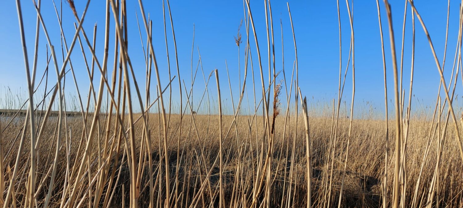 B&Bie Ons – Bed & Breakfast gelegen in vestingdorp Bad Nieuweschans Groningen