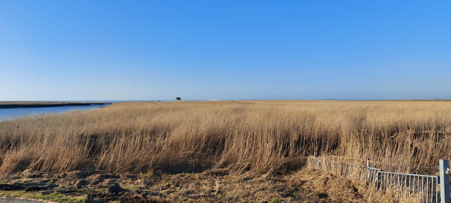 B&Bie Ons – Bed & Breakfast gelegen in vestingdorp Bad Nieuweschans Groningen