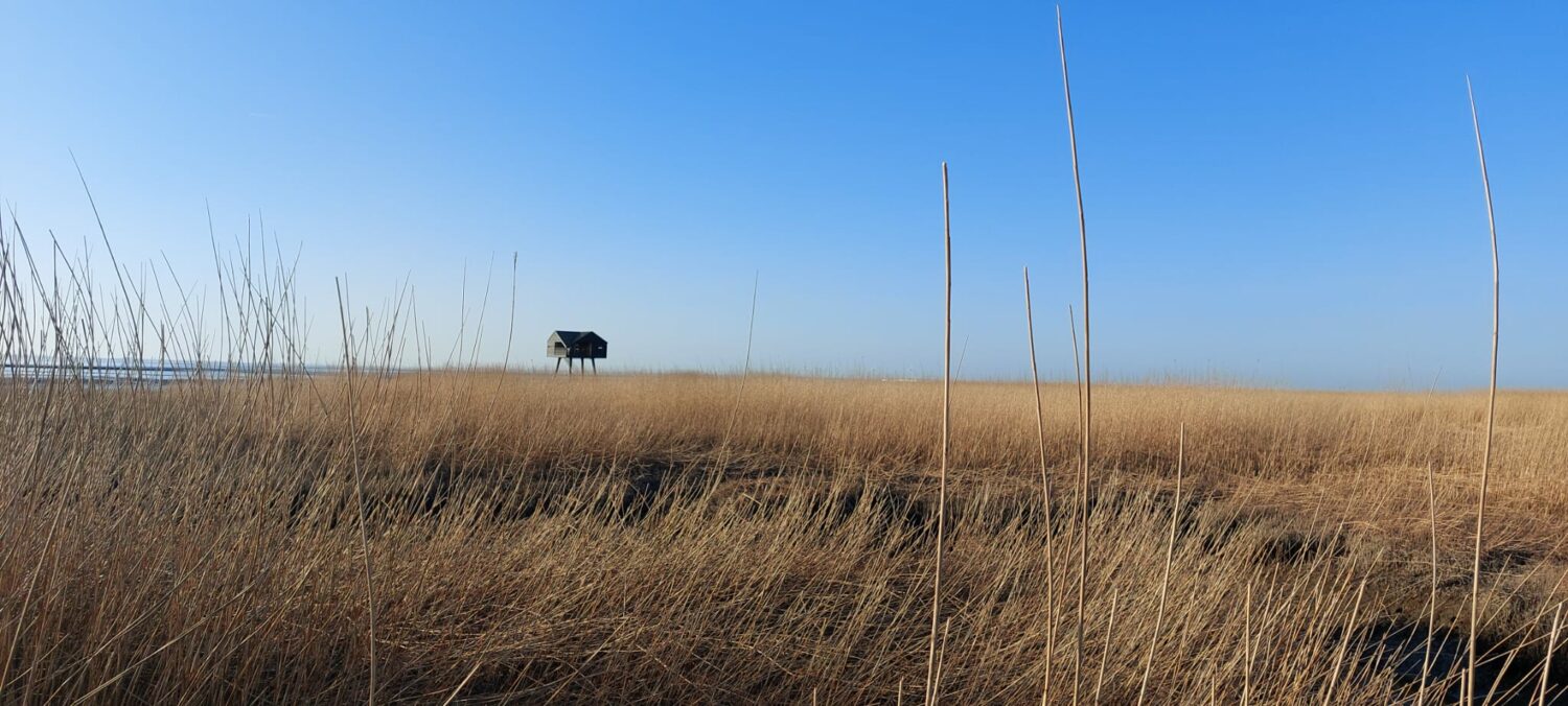 B&Bie Ons – Bed & Breakfast gelegen in vestingdorp Bad Nieuweschans Groningen